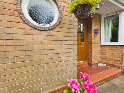 Picture 46